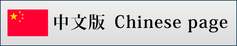 中文版